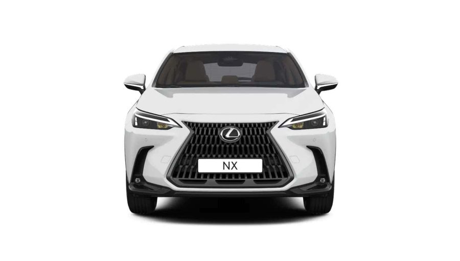 Renting Particulares Lexus NX PHEV 450h+ Premium+ 4WD Blanco, Titanium, Gris, Verde, Rojo