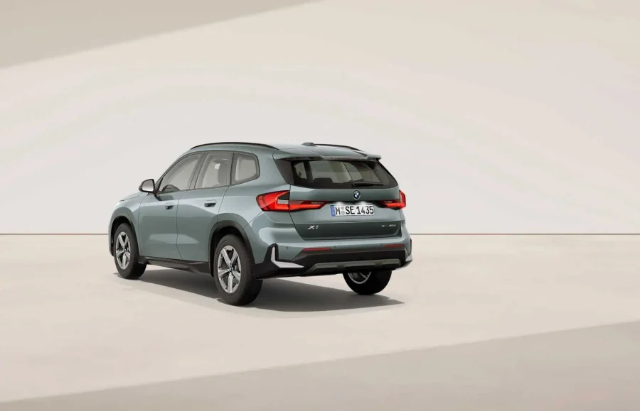 Renting Particulares BMW X1 xDrive20d Premium Package Cape York Green metalizado