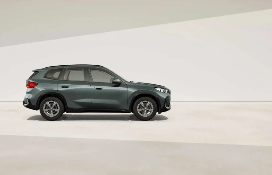 Renting Particulares BMW X1 xDrive20d Premium Package Cape York Green metalizado