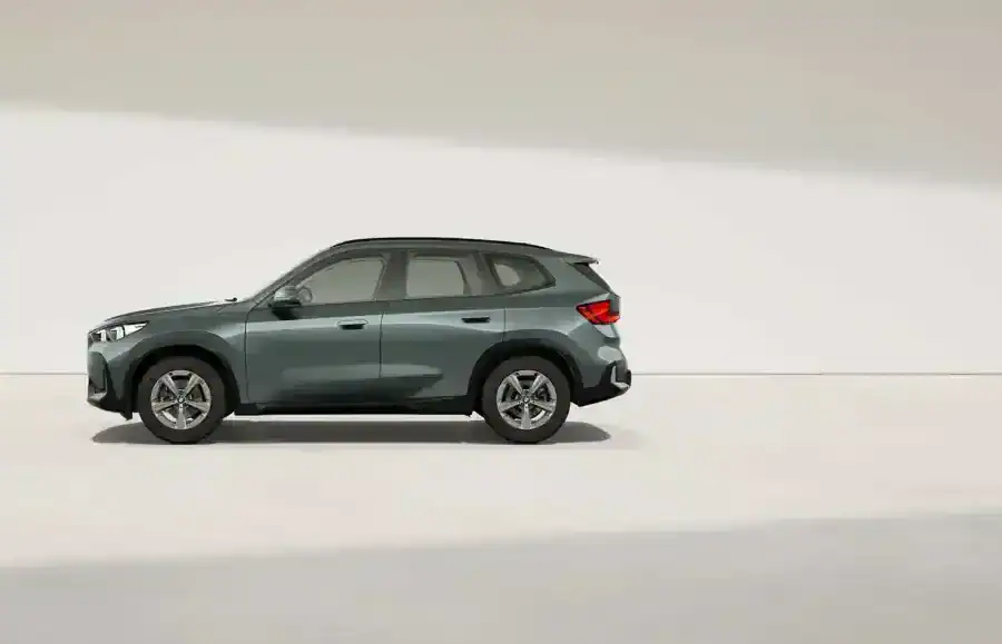 Renting Particulares BMW X1 xDrive20d Premium Package Cape York Green metalizado
