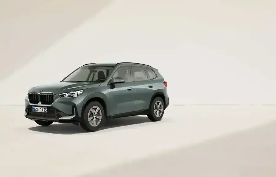 Renting Particulares BMW X1 xDrive20d Premium Package Cape York Green metalizado