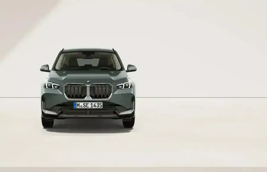 Renting Particulares BMW X1 xDrive20d Premium Package Cape York Green metalizado