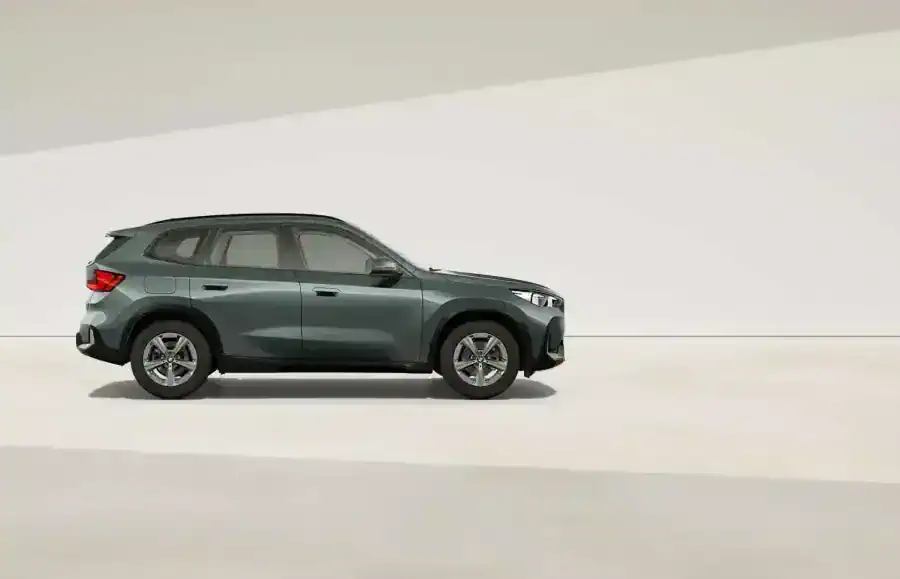 Renting Particulares BMW X1 xDrive20d Premium Package Cape York Green metalizado